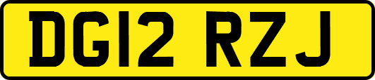 DG12RZJ