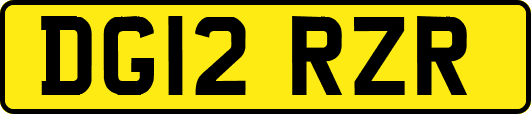 DG12RZR