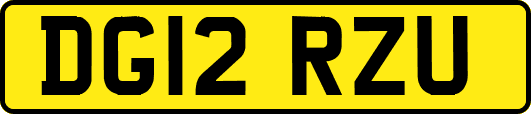DG12RZU