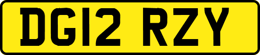 DG12RZY
