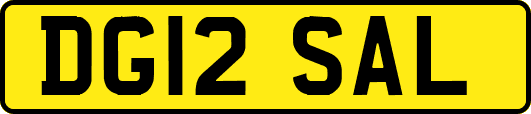 DG12SAL