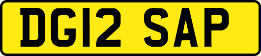 DG12SAP