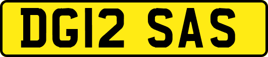 DG12SAS