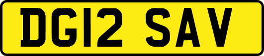 DG12SAV