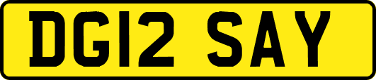 DG12SAY