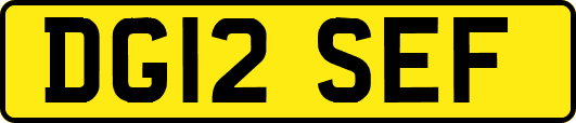 DG12SEF