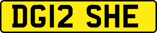DG12SHE