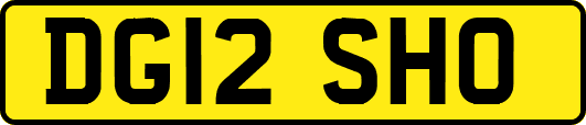 DG12SHO