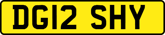 DG12SHY