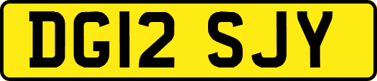 DG12SJY