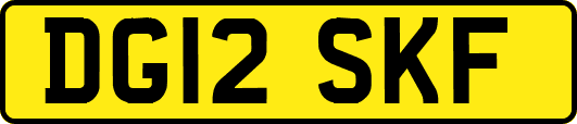 DG12SKF