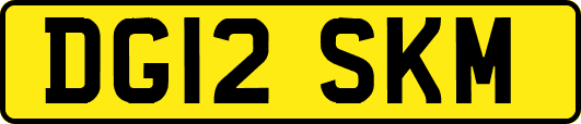 DG12SKM