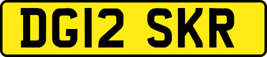 DG12SKR