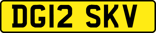 DG12SKV