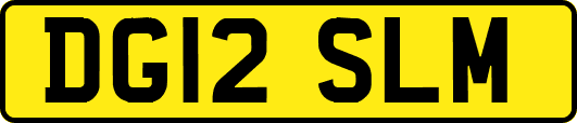 DG12SLM
