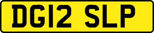 DG12SLP