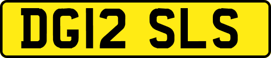 DG12SLS