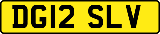 DG12SLV