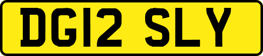 DG12SLY