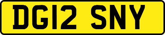DG12SNY