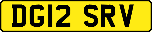 DG12SRV