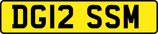 DG12SSM