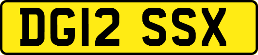 DG12SSX