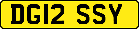 DG12SSY
