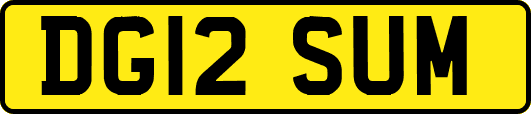 DG12SUM