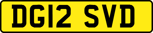 DG12SVD