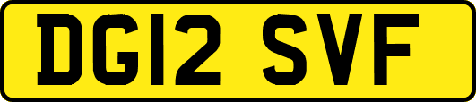 DG12SVF