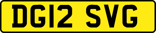 DG12SVG