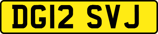 DG12SVJ