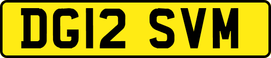 DG12SVM