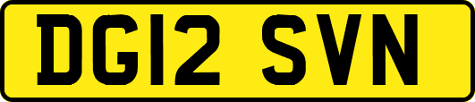 DG12SVN