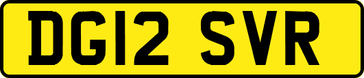 DG12SVR