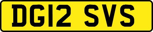 DG12SVS