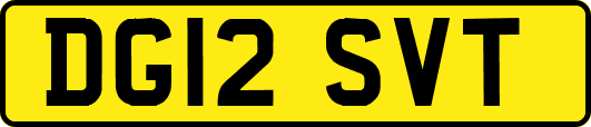 DG12SVT