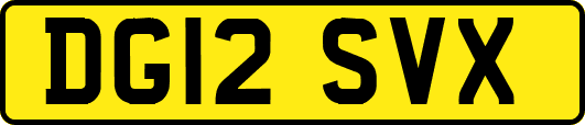 DG12SVX