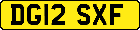 DG12SXF
