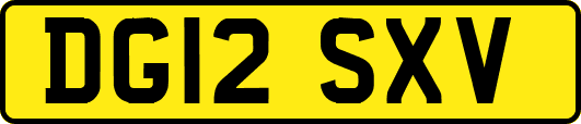 DG12SXV