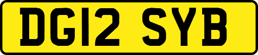 DG12SYB