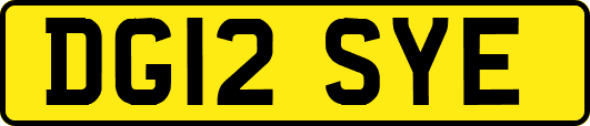 DG12SYE