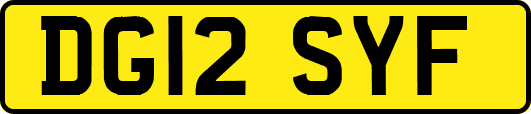 DG12SYF