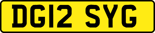 DG12SYG