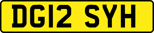 DG12SYH