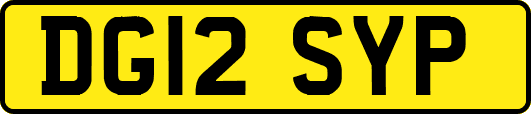 DG12SYP