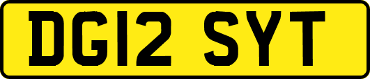 DG12SYT