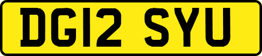 DG12SYU