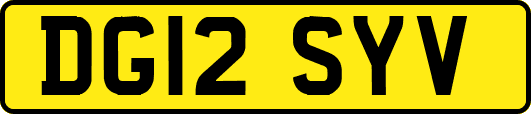 DG12SYV